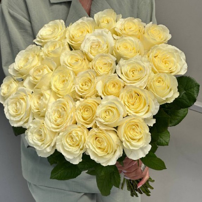 Роза сорта Аваланш  60см