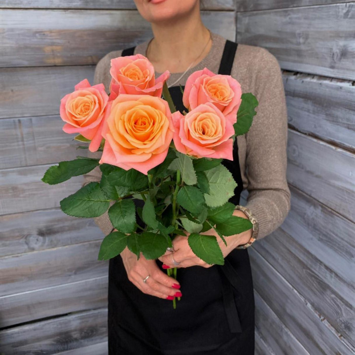 Роза сорта "Мисс Пигги" - цветы с доставкой Ялта 