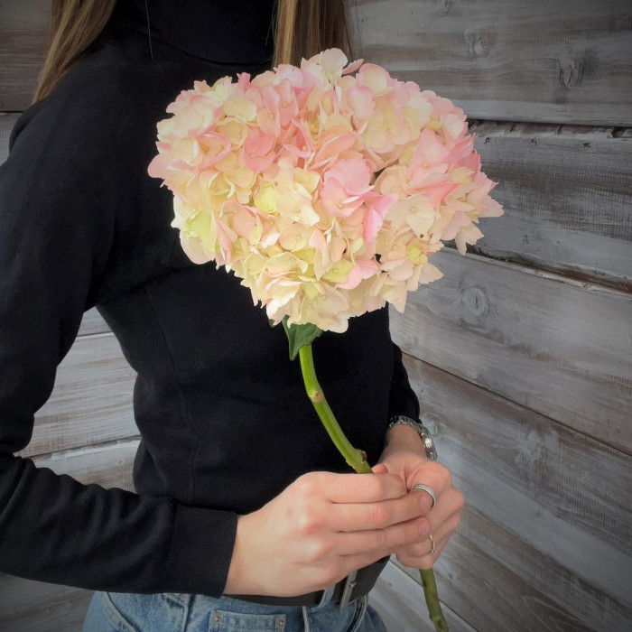 "Гортензия" - купить цветы в Ялте