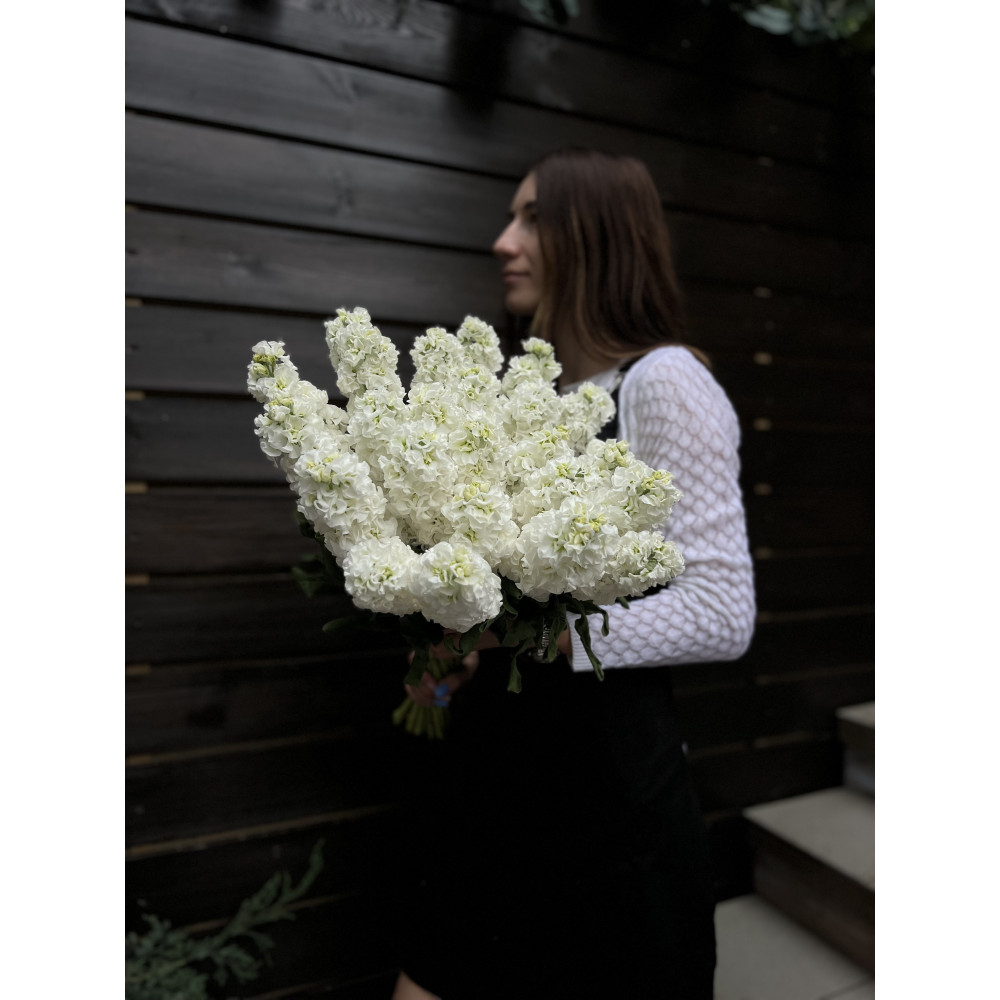 Маттиола белая - цветы с доставкой Ялта
