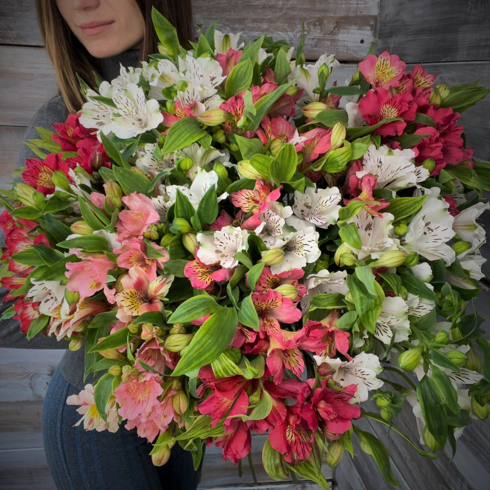 "Альстромерия" - купить цветы в Ялте