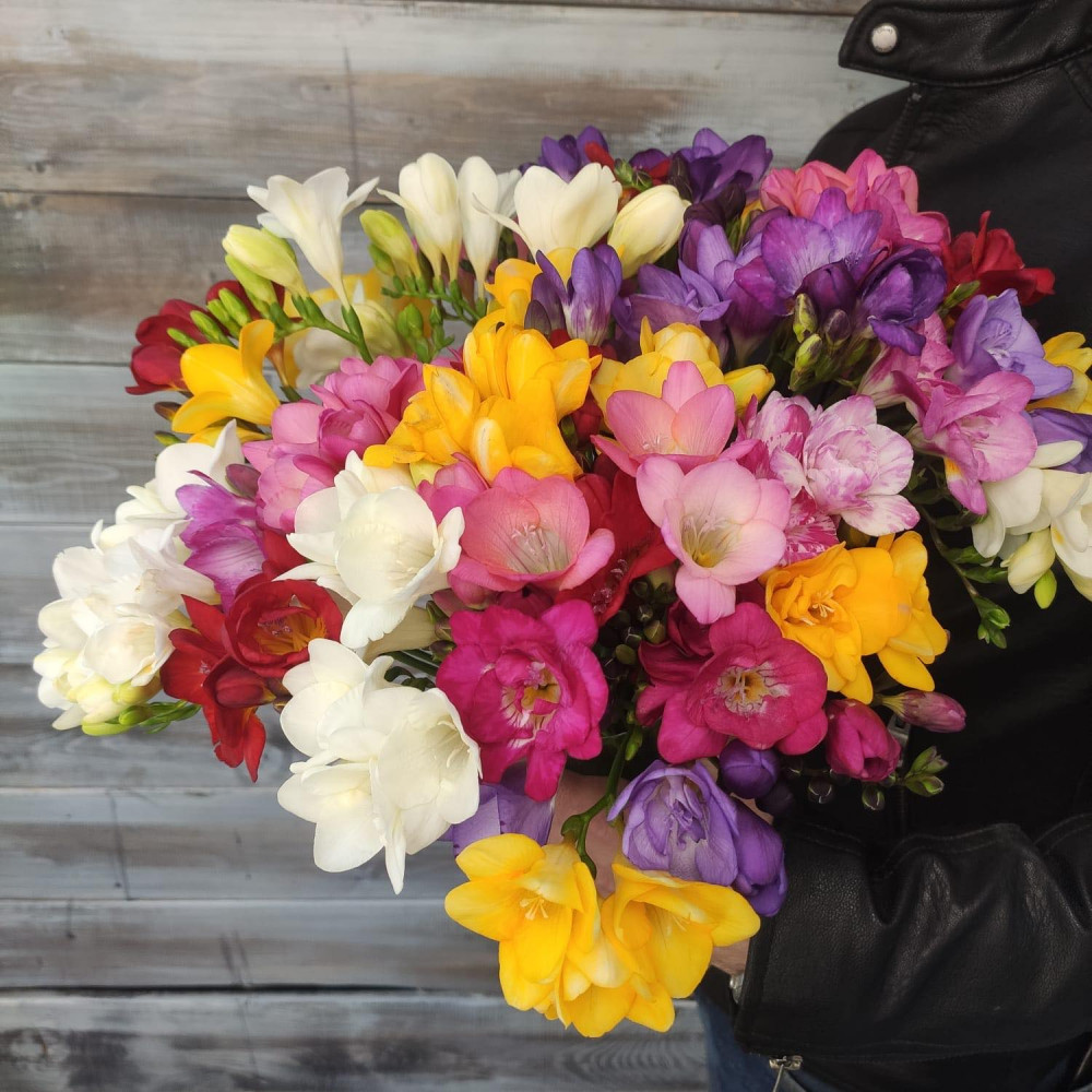 Фрезия Крымская микс - цветы с доставкой Ялта
