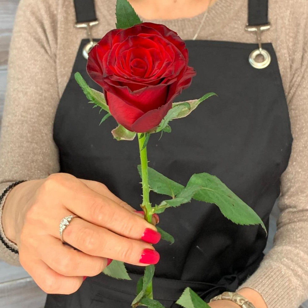 Роза сорта "Ред Наоми" - цветы с доставкой Ялта 