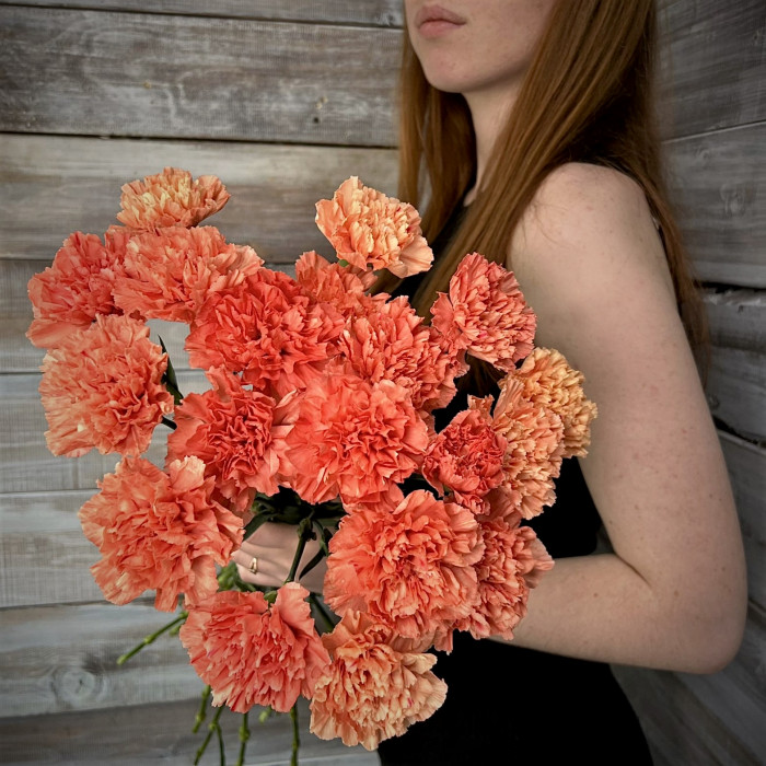 Гвоздика оранжевая - купить цветы с доставкой 